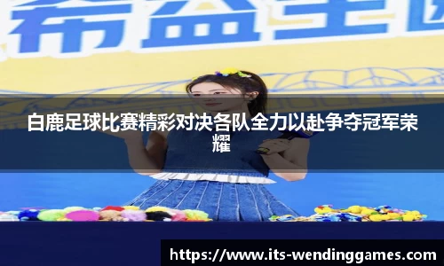白鹿足球比赛精彩对决各队全力以赴争夺冠军荣耀