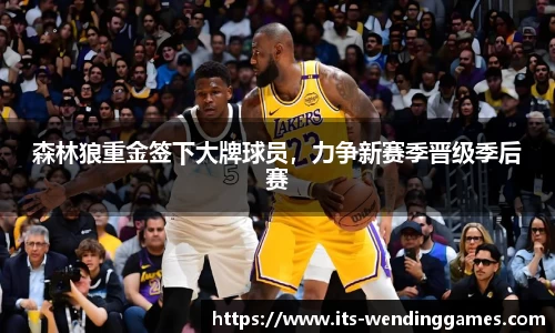 森林狼重金签下大牌球员，力争新赛季晋级季后赛