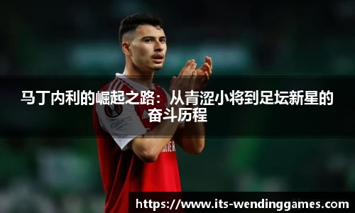 马丁内利的崛起之路：从青涩小将到足坛新星的奋斗历程